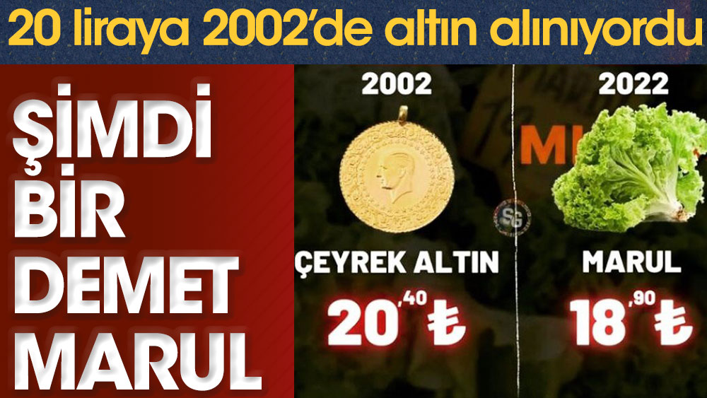 20 liraya 2002'de altın alınıyordu şimdi bir demet marul