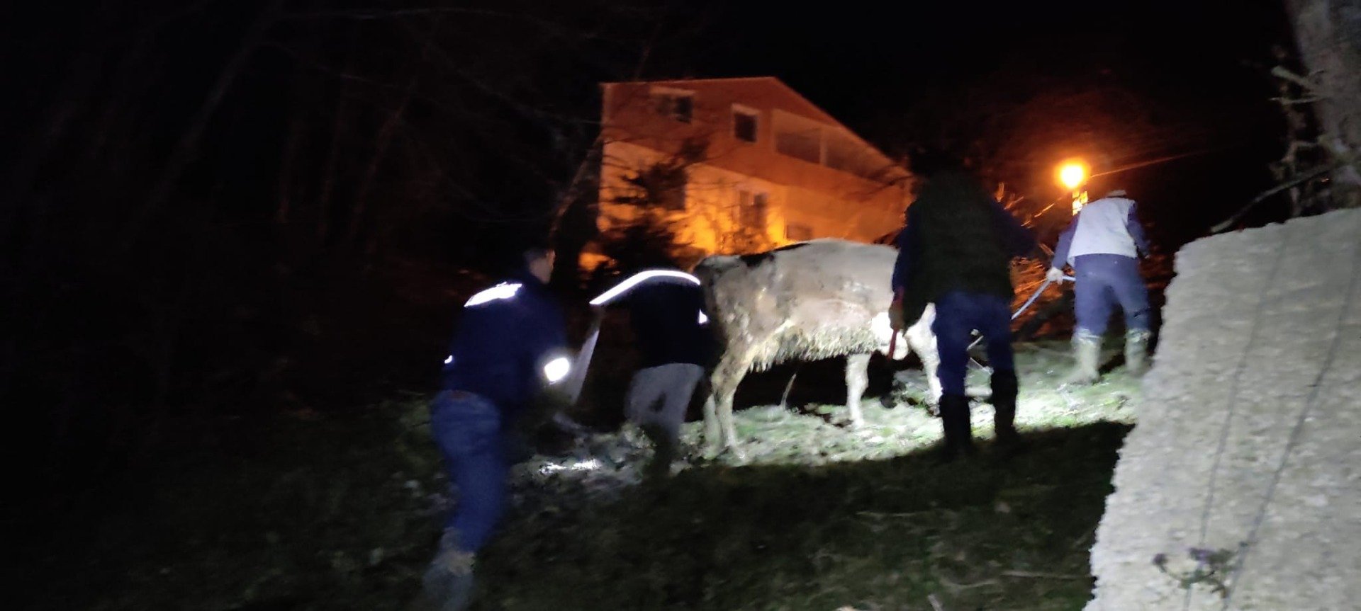 Dereye düşen büyükbaş hayvan kurtarıldı