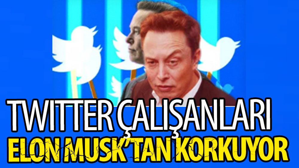Twitter çalışanları Elon Musk'tan korkuyor