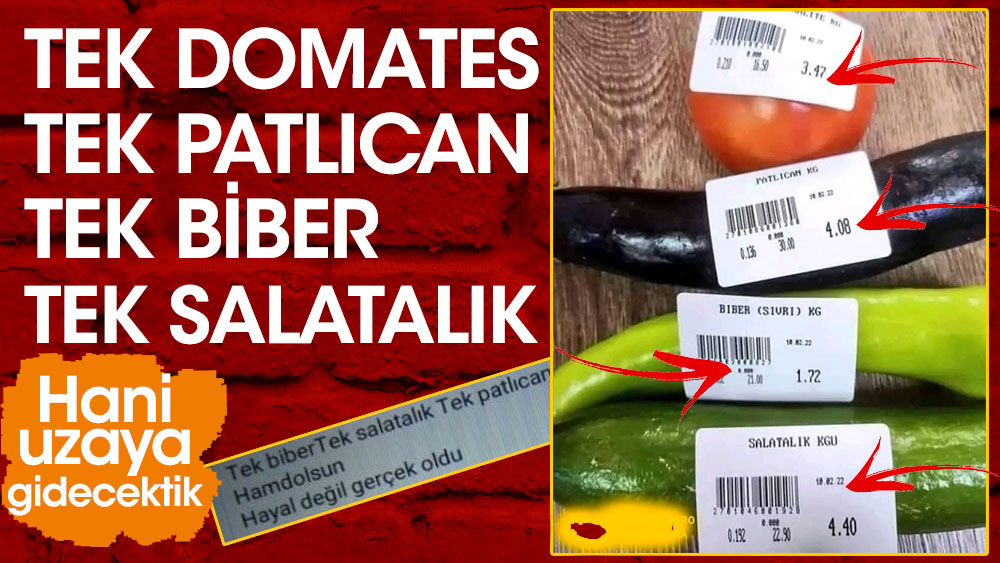 Tek biber tek domates tek patlıcan tek salatalık eşittir 13 lira 67 kuruş