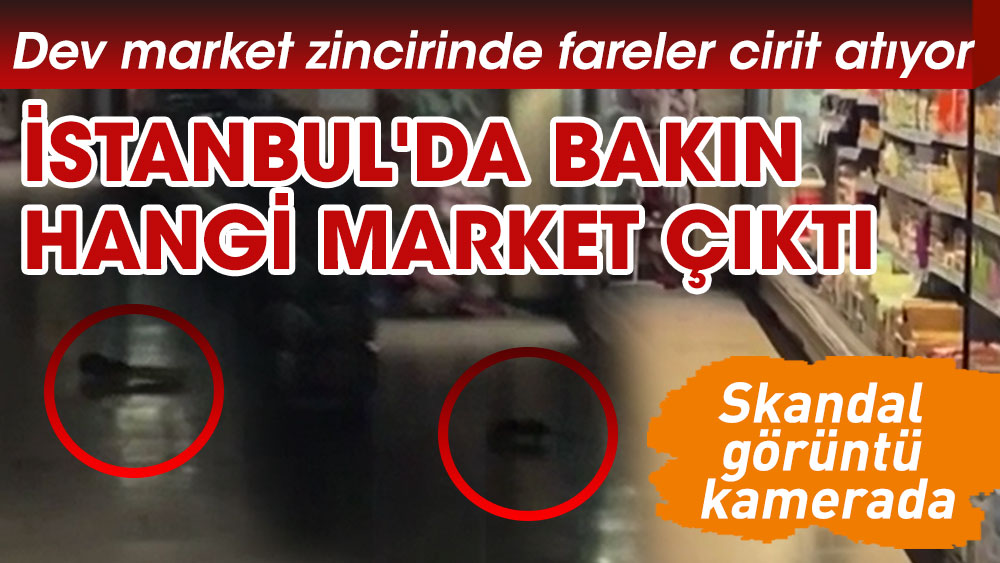 İstanbul'da bakın hangi market çıktı. Dev market zincirinde fareler cirit atıyor. Skandal görüntü kamerada