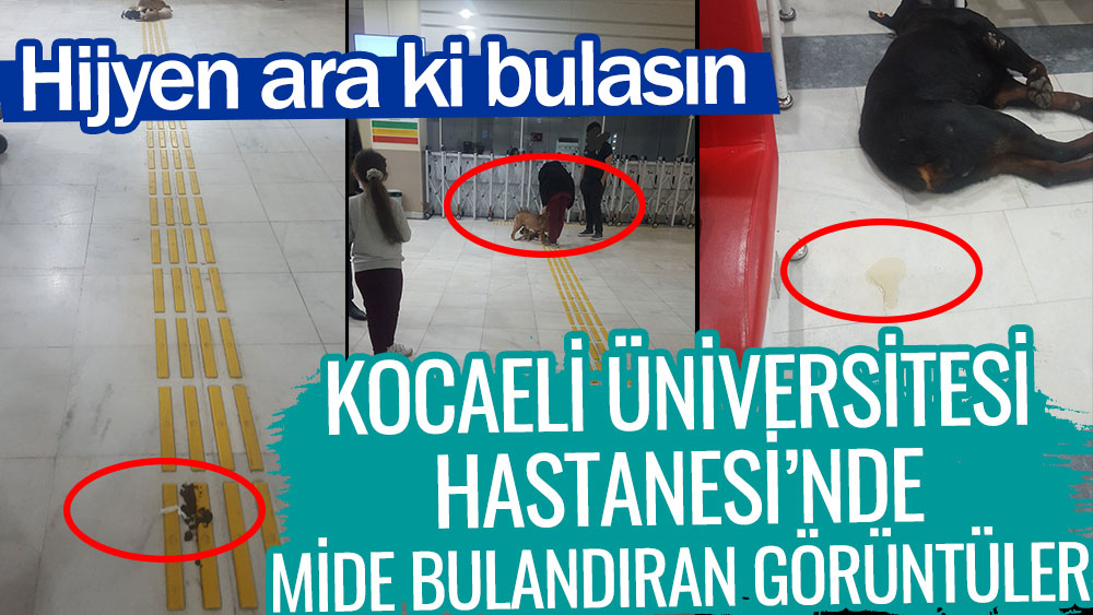 Kocaeli Üniversitesi Hastanesi'nde mide bulandıran görüntüler! Hijyen ara ki bulasın
