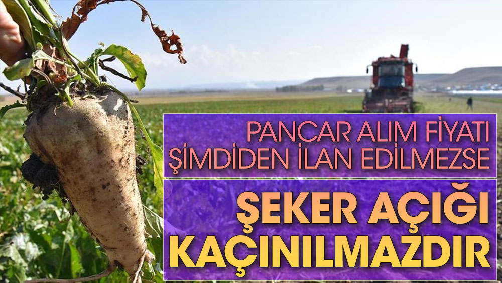 İYİ Partili Kabukcuoğlu ‘Pancar alım fiyatı şimdiden ilan edilmezse şeker açığı kaçınılmazdır’