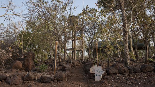 Benin'de ulusal parka bombalı saldırı: 5 asker öldü
