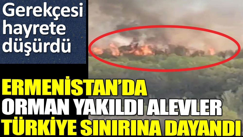Ermenistan'da orman yakıldı alevler Türkiye sınırına dayandı
