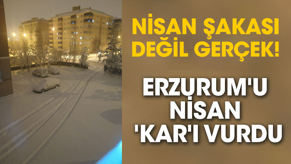 Nisan şakası değil gerçek! Erzurum'u nisan 'kar'ı vurdu