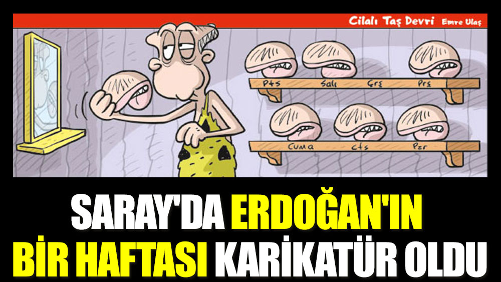 Saray'da Erdoğan'ın bir haftası karikatür oldu