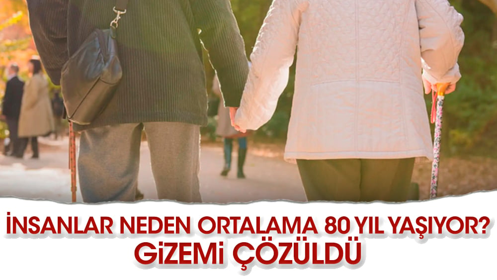 İnsanlar neden ortalama 80 yıl yaşıyor? Gizemi çözüldü