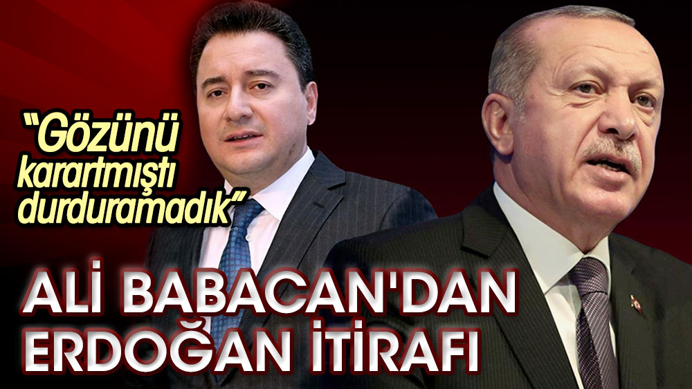 Ali Babacan'dan Erdoğan itirafı: Gözünü karartmıştı durduramadık