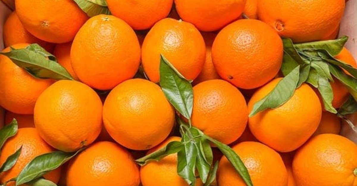 Rusya'dan Türkiye kararı biber portakal ihracatında kısıtlamalar kaldırıldı