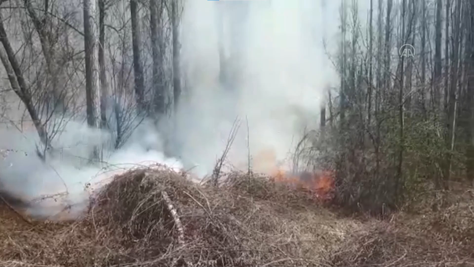 Ormanlık alanın yanı başında yangın çıktı