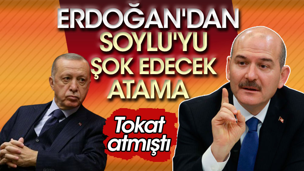 Erdoğan'dan Soylu'yu şok edecek atama. Tokat atmıştı