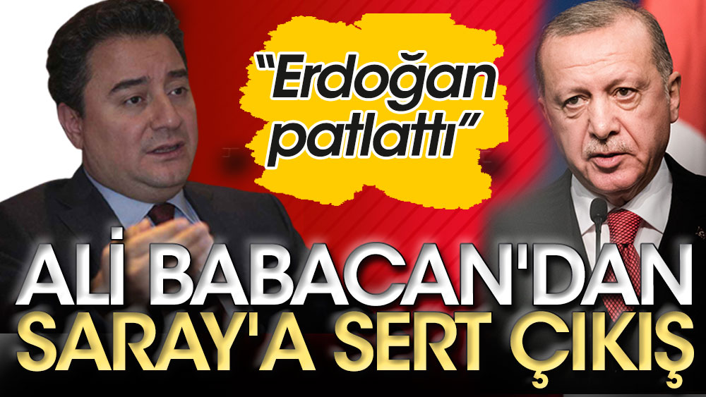 Ali Babacan'dan Saray'a sert çıkış. "Erdoğan patlattı"