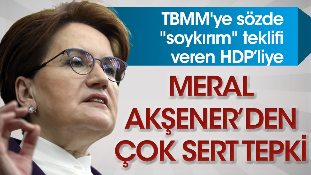 Meral Akşener’den Gazi Meclis'e sözde soykırım teklifi veren HDP’liye çok sert tepki