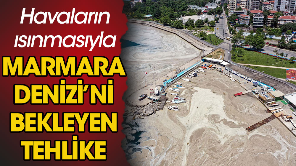 Havaların ısınmasıyla Marmara Denizi'ni bekleyen büyük tehlike!