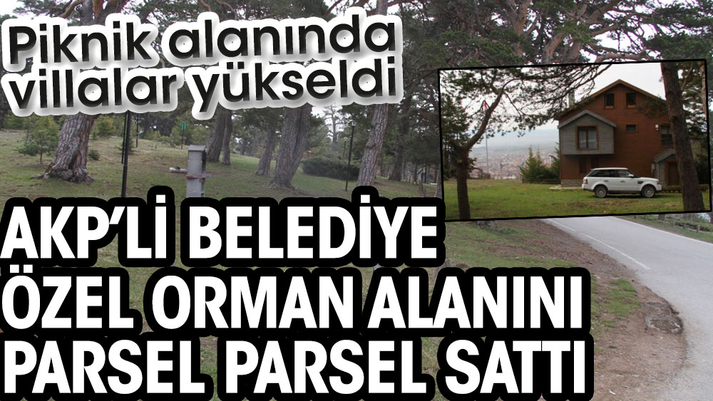 AKP’li belediye özel orman alanını parsel parsel sattı. Piknik alanında villalar yükseldi