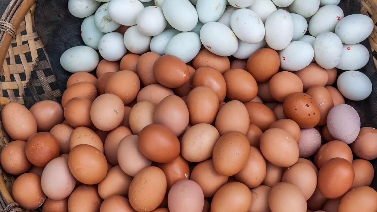 Yumurtalar neden rengine göre farklı fiyata satılır? Kahverengi yumurta beyazdan neden daha pahalı
