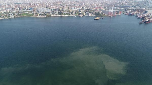 Havadan görüntülendi kabus İstanbul sahillerine geri mi dönüyor sorusu gündeme geldi