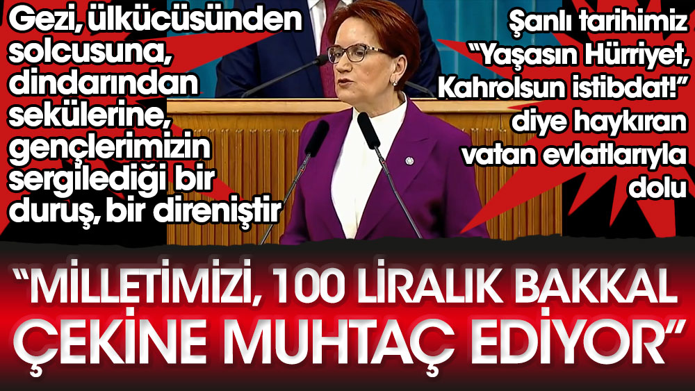 Meral Akşener'den Gezi açıklaması: Erdoğan'a çok sert çıktı