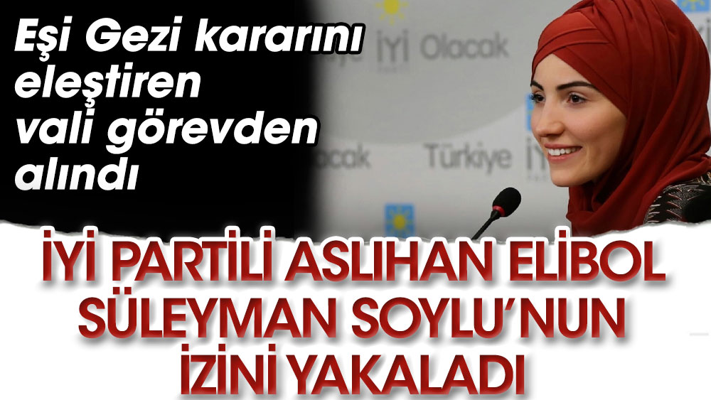 Eşi Gezi kararını eleştiren vali görevden alındı. Aslıhan Elibol Süleyman Soylu’nun izini yakaladı