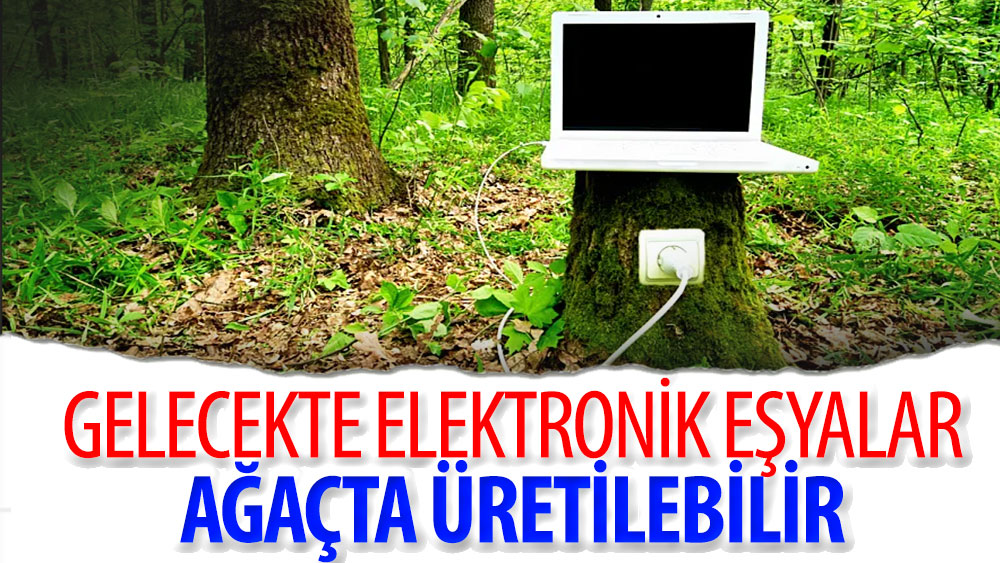 Gelecekte elektronik eşyalar ağaçta üretilebilir