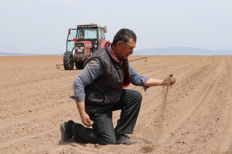 Türkiye'nin 2. büyük tahıl ambarında tehlike çanları çalıyor