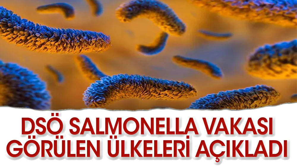 DSÖ, Salmonella vakası görülen ülkeleri açıkladı