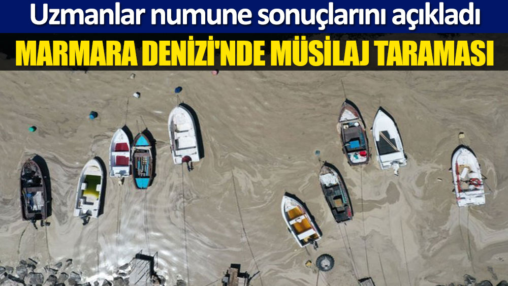 Marmara Denizi'nde müsilaj taraması: Uzmanlar numune sonuçlarını açıkladı