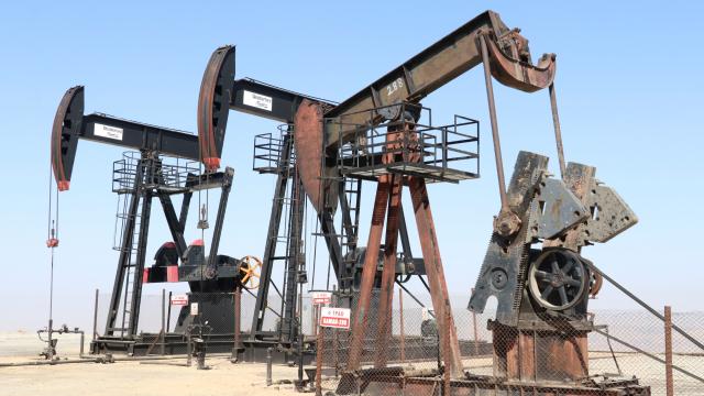 TPAO'nun Tekirdağ'daki petrol işletme ruhsatı uzatıldı