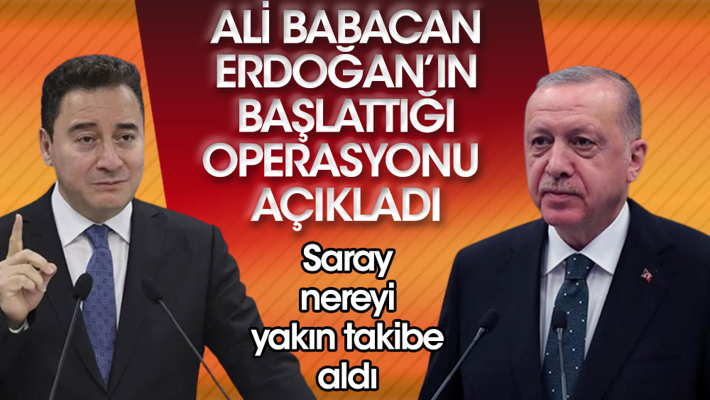 DEVA Partisi lideri Ali Babacan Erdoğan'ın başlattığı operasyonu açıkladı! Saray nereyi yakın takibe aldı