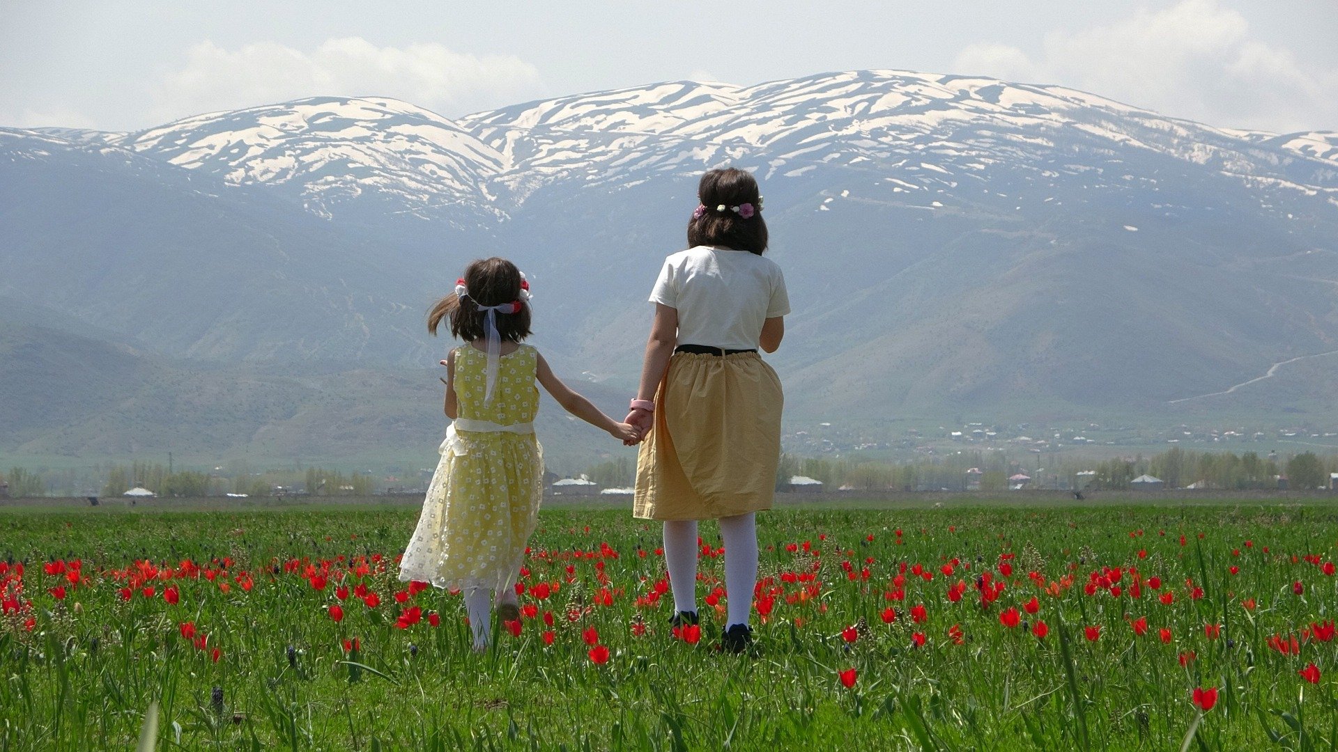 Muş Ovası'nda masalsı görüntüler. Karlı dağlara karşı açan laleler görenleri kendisine hayran bırakıyor