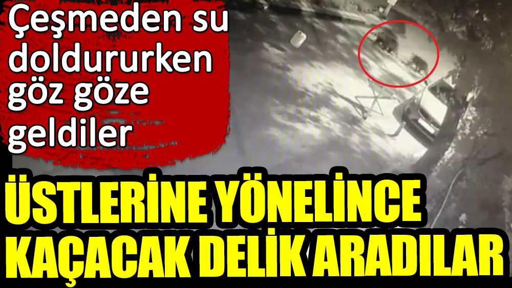 Ayı ailesi üstlerine yönelince çığlık atıp kaçacak delik aradılar