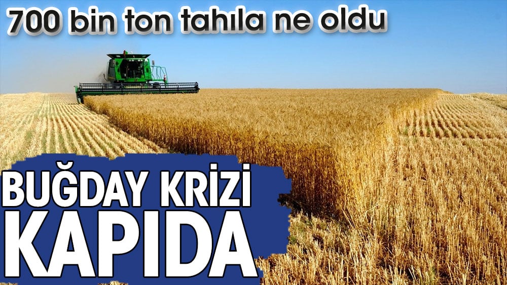 Buğday krizi kapıda. 700 bin ton tahıla ne oldu