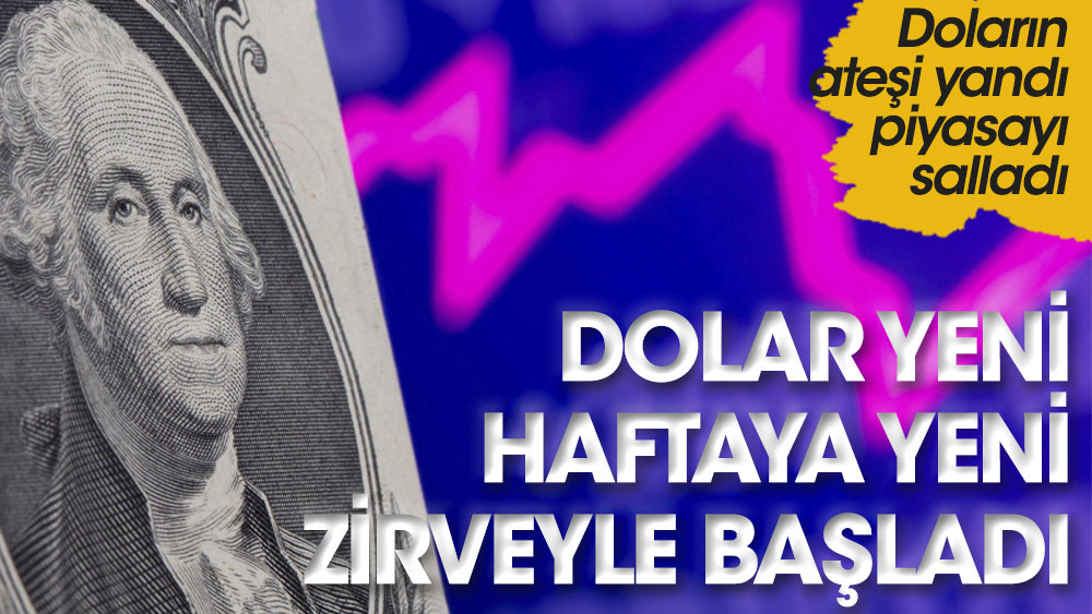 Dolar yeni haftaya yeni zirveyle başladı. Güne yükselişle başlayan dolar 14.98 seviyesine kadar çıktı