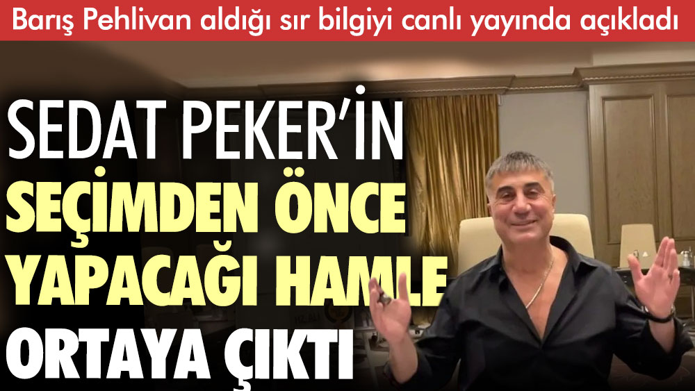 Sedat Peker’in seçimden önce yapacağı hamle ortaya çıktı