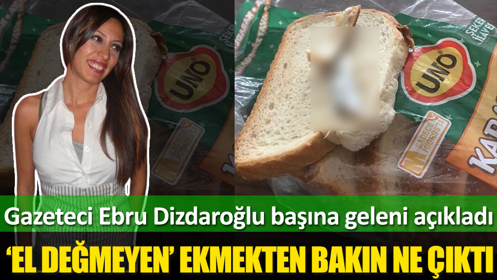 El değmeyen ekmekten bakın ne çıktı! Gazeteci Ebru Dizdaroğlu başına geleni böyle anlattı