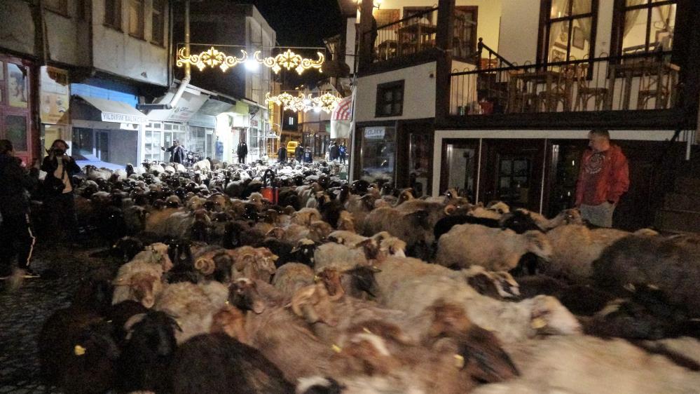 Koyunlara saygı. Caddeyi doldurdular