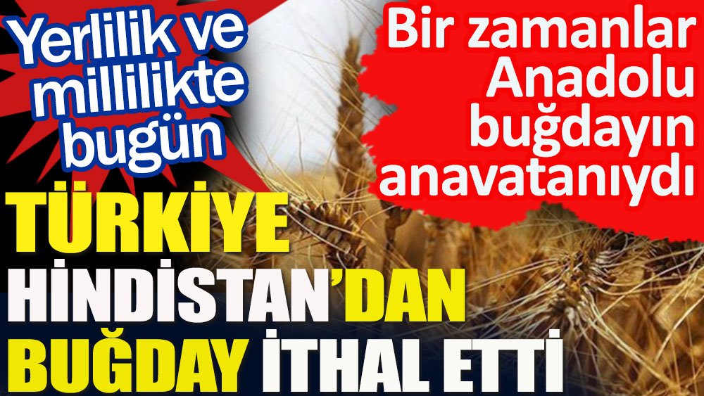 Yerli ve millilikte bugün | Bir zamanlar Anadolu buğdayın anavatanıydı | Türkiye Hindistan’dan buğday ithal etti