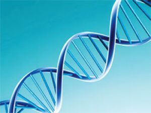 DNA Bankası neden gerekli?