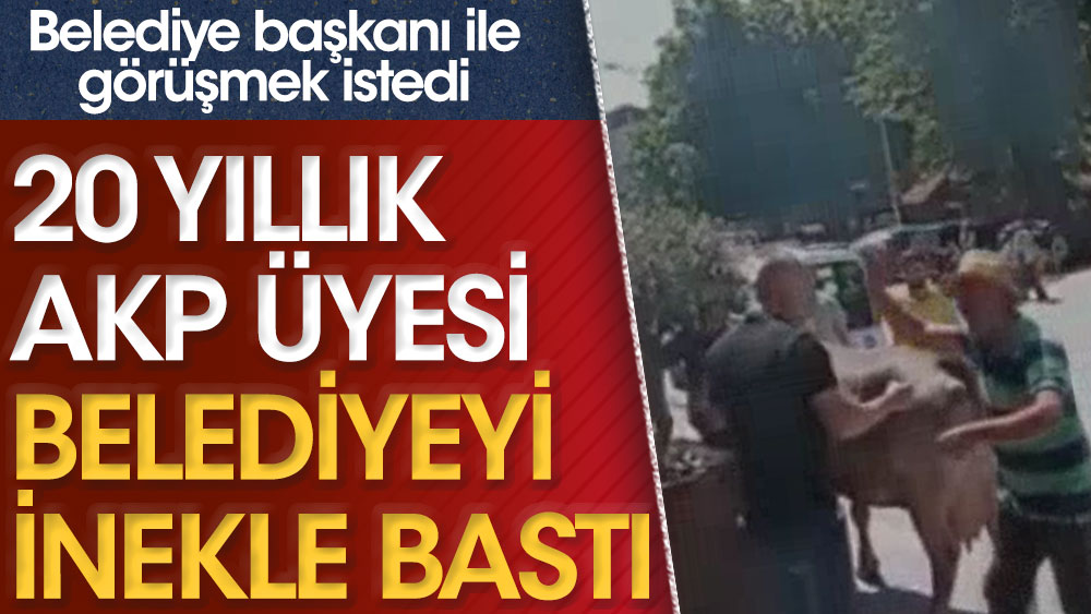 20 yıllık AKP üyesi belediyeyi inekle bastı. Belediye başkanı ile görüşmek istedi
