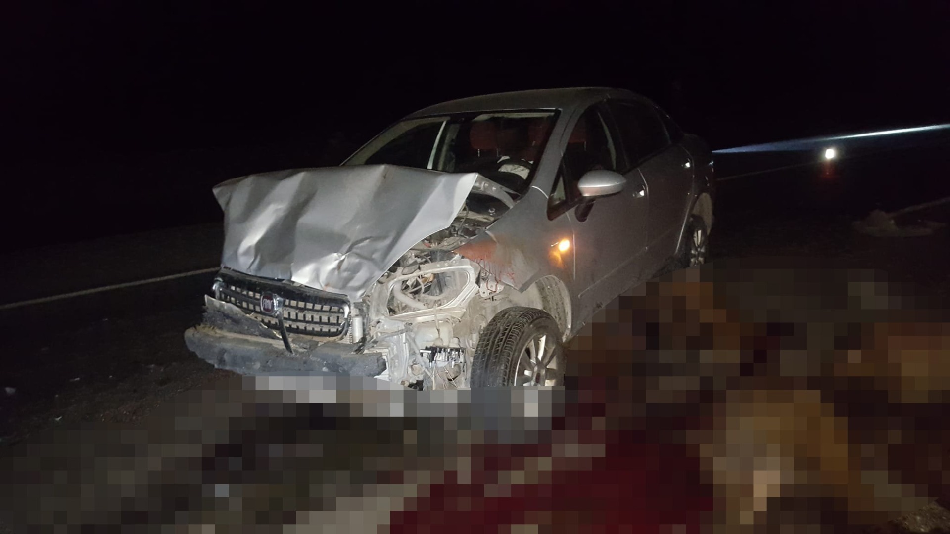 Elazığ’da feci kaza: Otomobil sürüye çarptı, 30 hayvan telef oldu