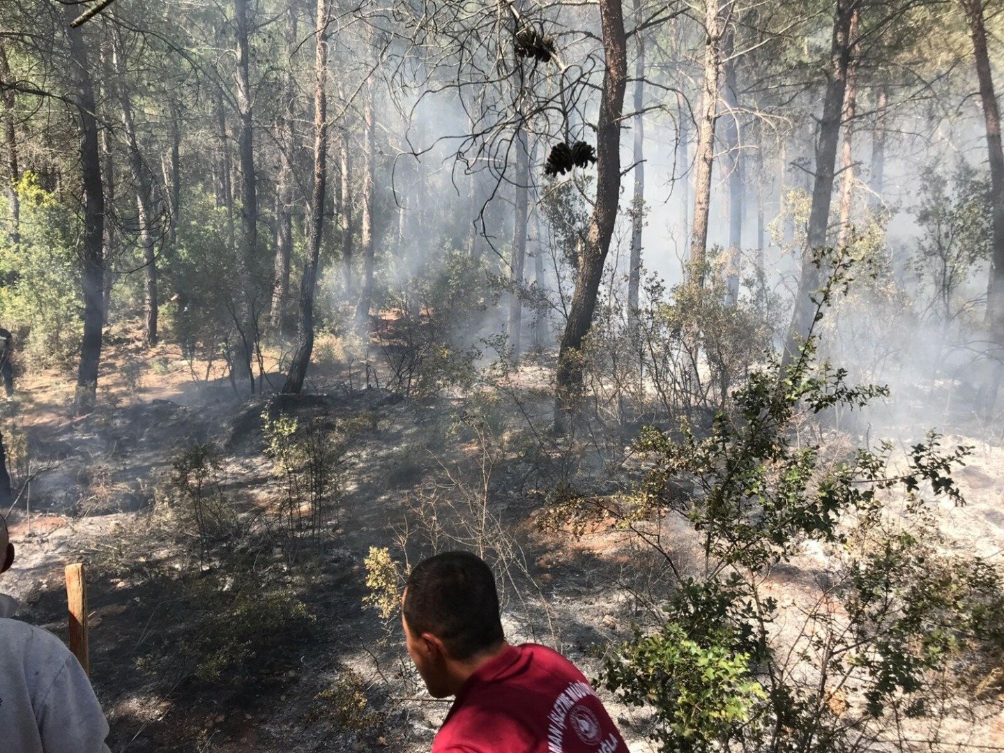 Ormanda maytapla oynayan çocuklar bir dönümlük araziye küle çevirdi