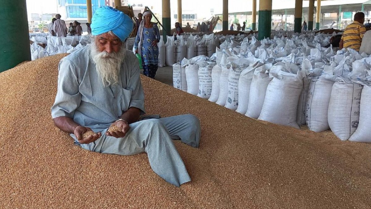 Hindistan'da buğday ihracatı yasaklandı