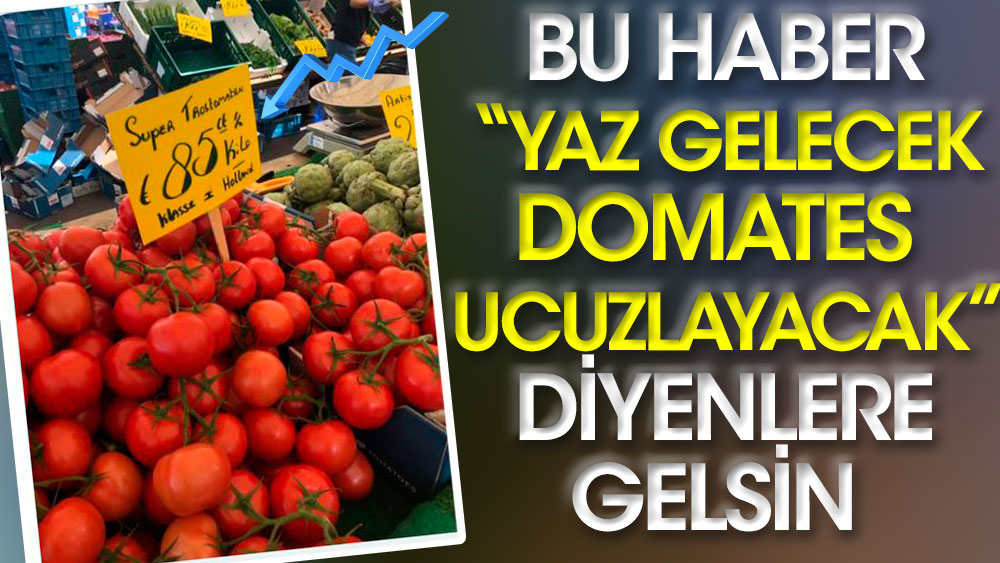 Şenol Babuşçu TÜİK’i domatesle vurdu. Bu haber ''yaz gelecek, domates ucuzlayacak'' diyenlere gelsin