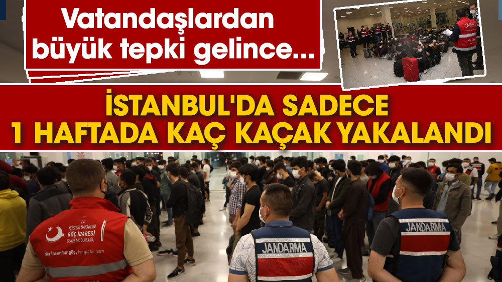 Vatandaşlardan büyük tepki gelince... İstanbul'da sadece 1 haftada kaç kaçak yakalandı