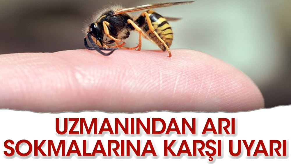 Uzmanından arı sokmalarına karşı uyarı