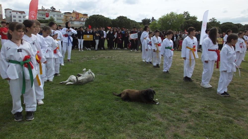 19 Mayıs törenlerine sokak köpekleri damga vurdu 