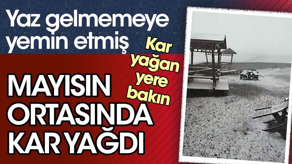 Mayısın ortasında kar yağdı. Yaz gelmemeye yemin etmiş. Kar yağan yere bakın