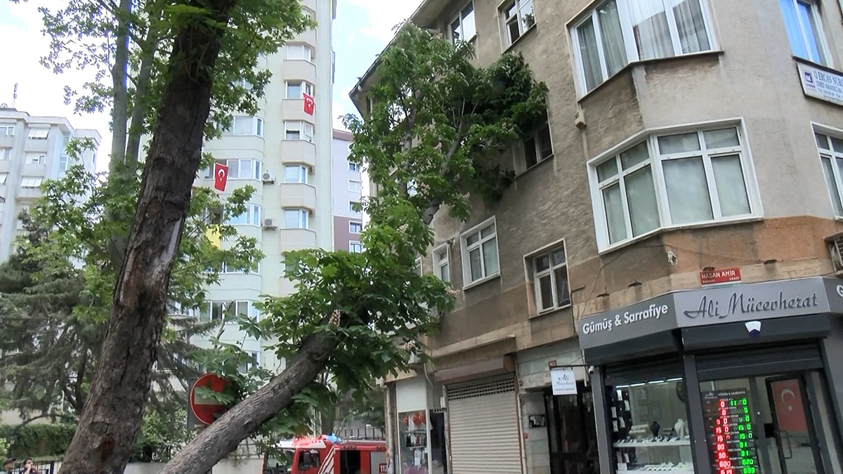 Kadıköy'de fırtına ağaç devirdi