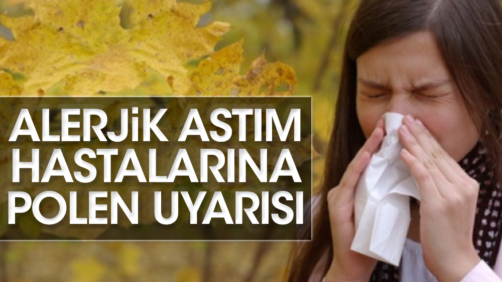 Alerjik astım hastalarına polen uyarısı